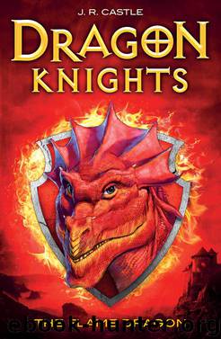 The Flame Dragon by J.R. Castle