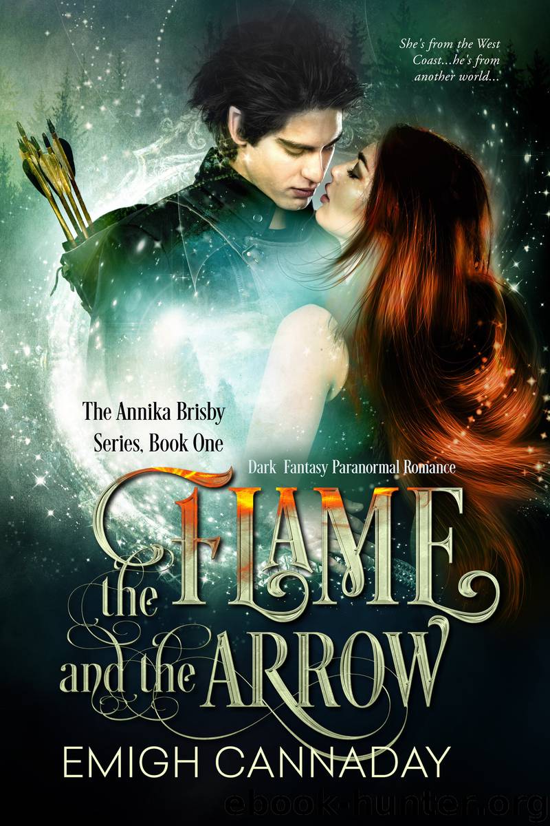 The Flame and the Arrow by Emigh Cannaday