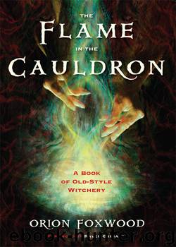The Flame in the Cauldron by Foxwood Orion Grimassi Raven