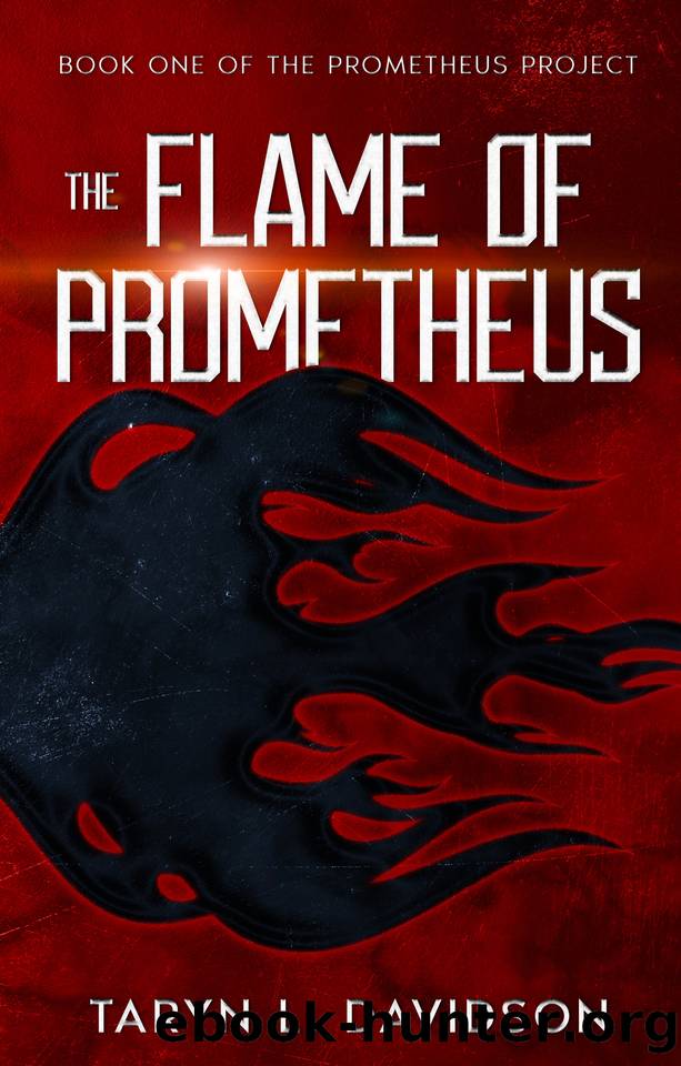 The Flame of Prometheus (The Prometheus Project Book 1) by Taryn L. Davidson