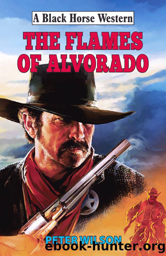 The Flames of Alvorado (Black Horse Western) by Peter Wilson & Peter Wilson