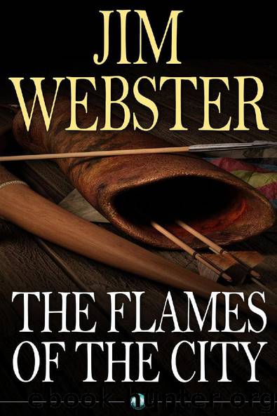 The Flames of the City by Jim Webster