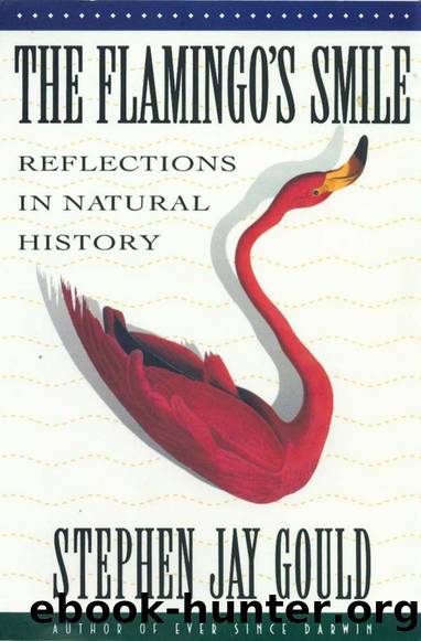 The Flamingoâs Smile: Reflections in Natural History by Stephen Jay Gould