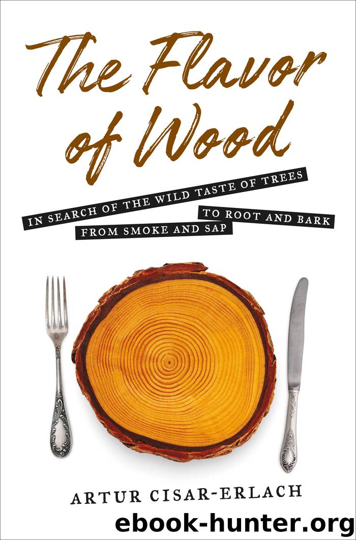 The Flavor of Wood by Artur Cisar-Erlach