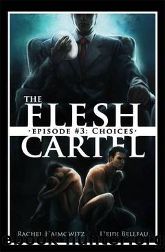 The Flesh Cartel #3: Choices by Heidi Belleau