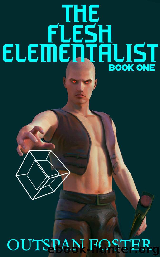 The Flesh Elementalist by Outspan Foster