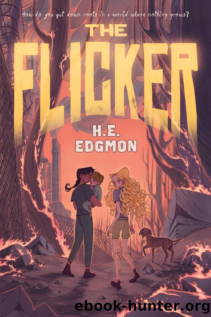 The Flicker by H. E. Edgmon