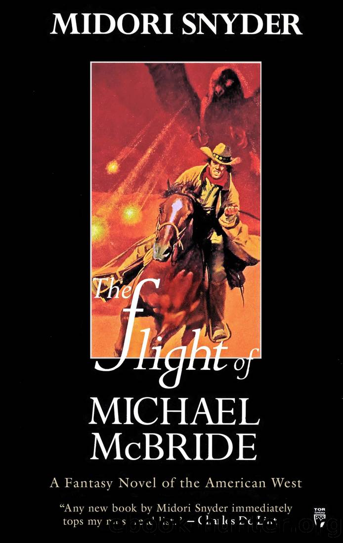 The Flight of Michael McBride by Midori Snyder