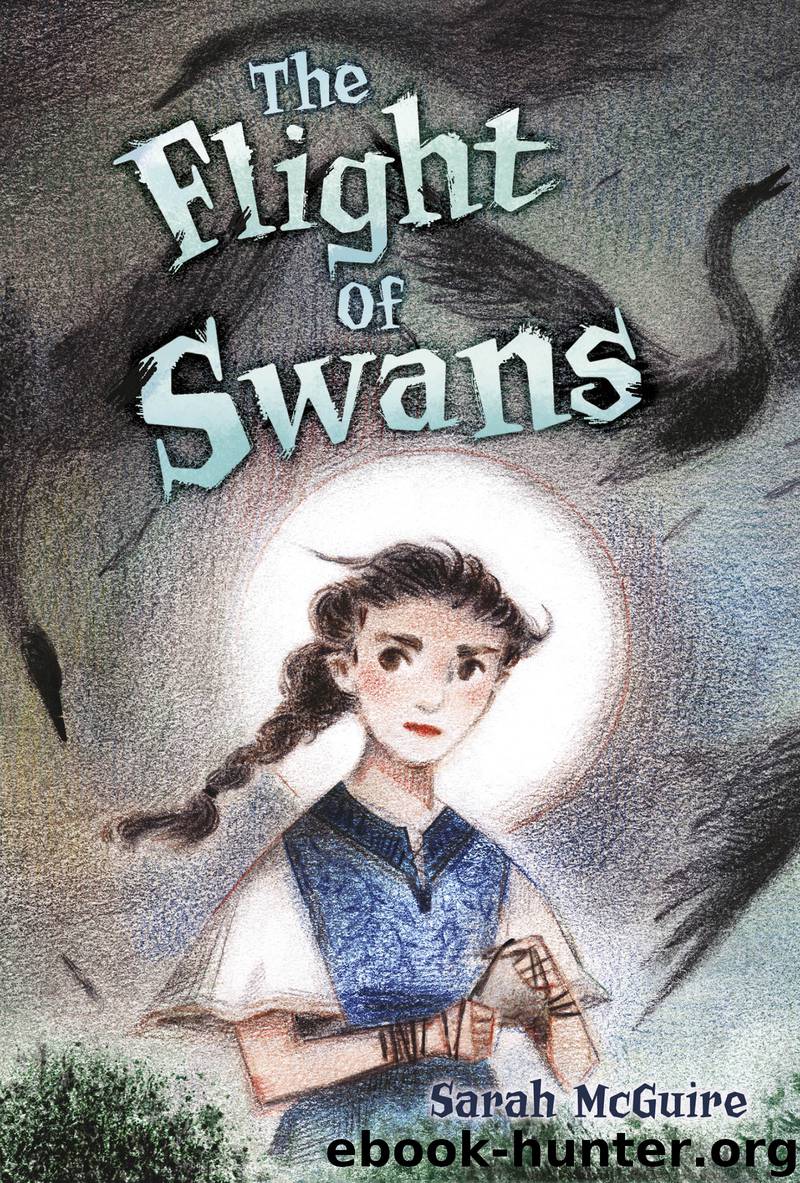 The Flight of Swans by Sarah McGuire