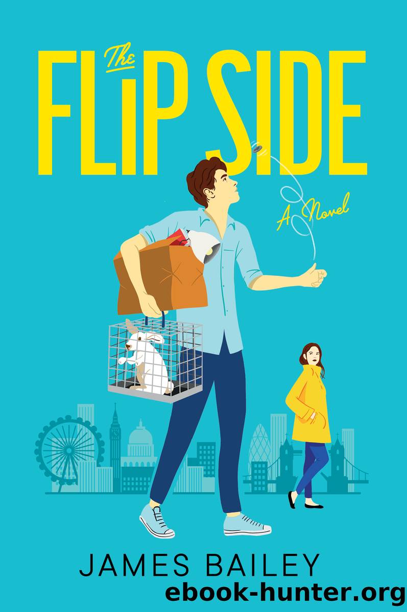 The Flip Side by James Bailey