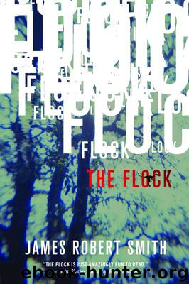 The Flock by James Robert Smith