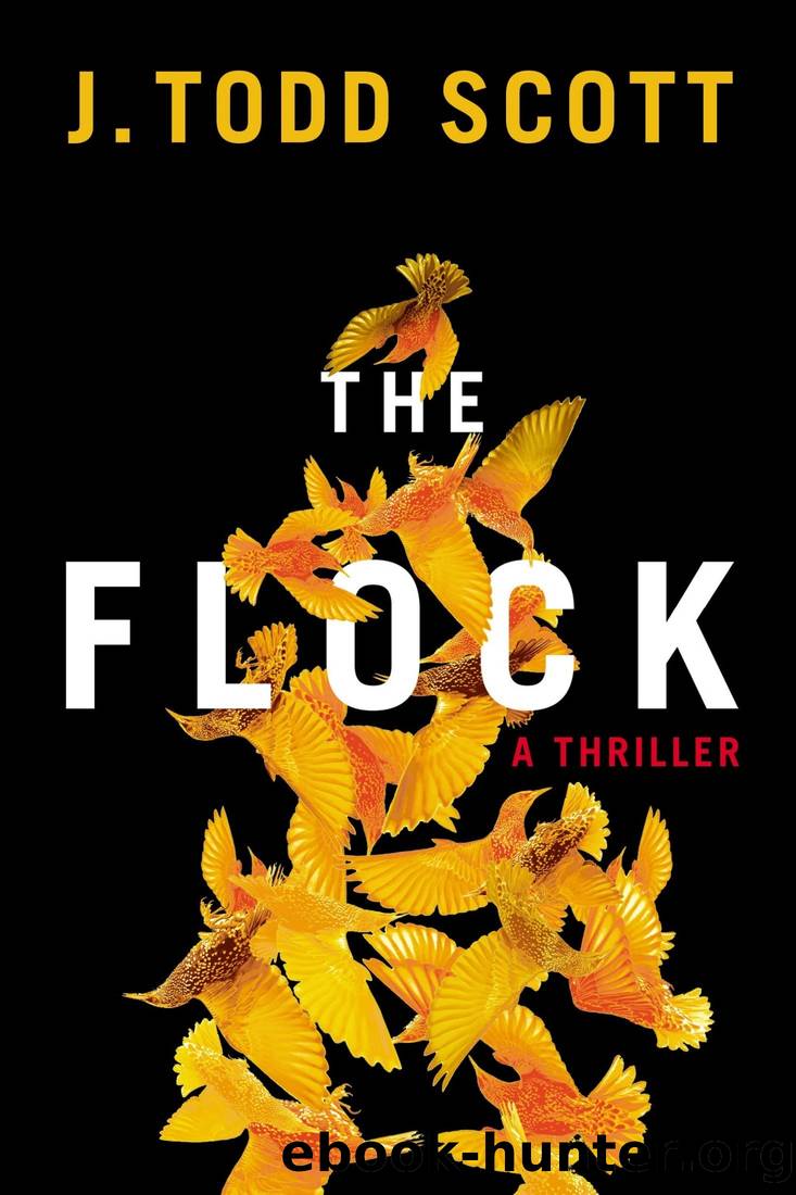 The Flock: A Thriller by J. Todd Scott
