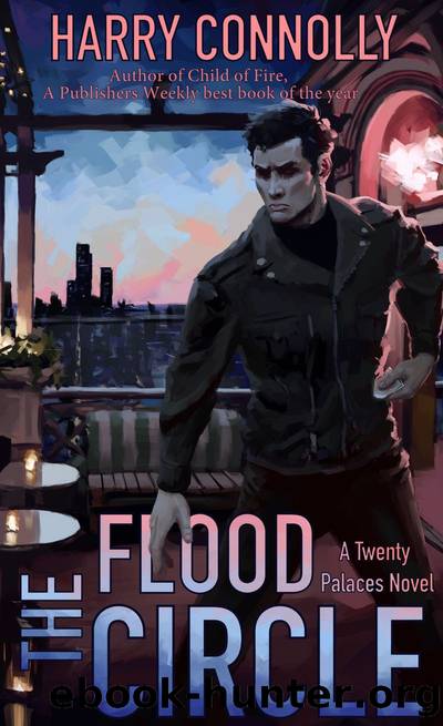 The Flood Circle: A Twenty Palaces novel by The Flood Circle (epub)