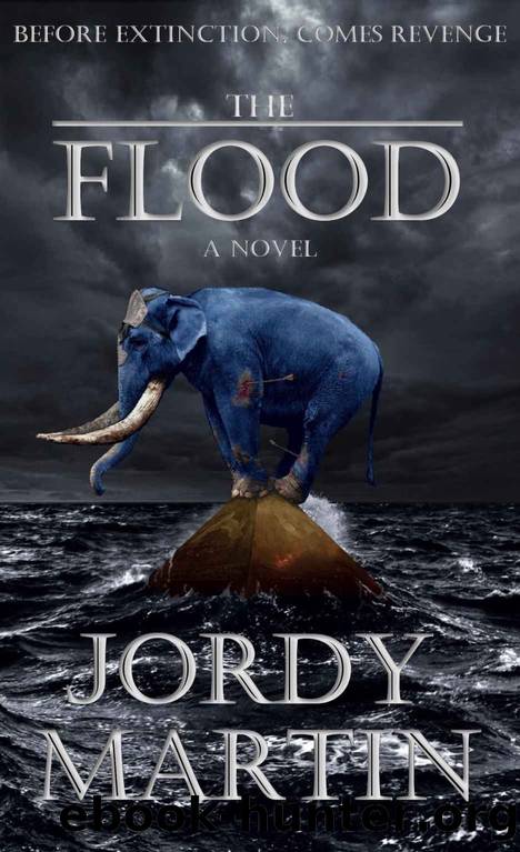 The Flood by Jordy Martin