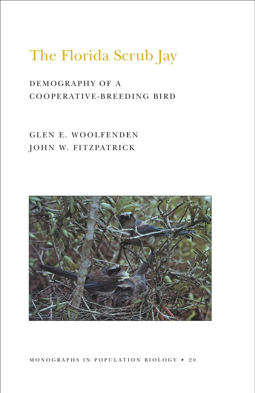 The Florida Scrub Jay (MPB-20), Volume 20: Demography of a Cooperative-Breeding Bird. (MPB-20) by Glen Everett Woolfenden & John W. Fitzpatrick