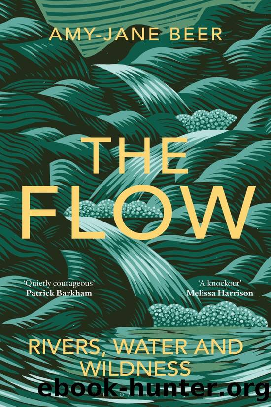 The Flow by Amy-Jane Beer