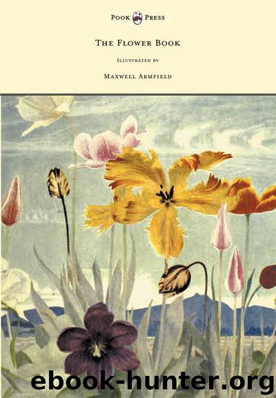 The Flower Book - Illustrated by Maxwell Armfield by Constance Armfield maxwell armfield