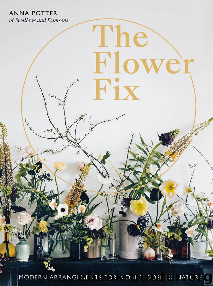 The Flower Fix by Anna Potter