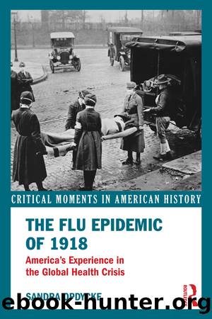 The Flu Epidemic of 1918 by Sandra Opdycke