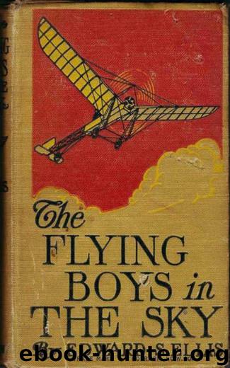 The Flying Boys in the Sky by Edward Sylvester Ellis