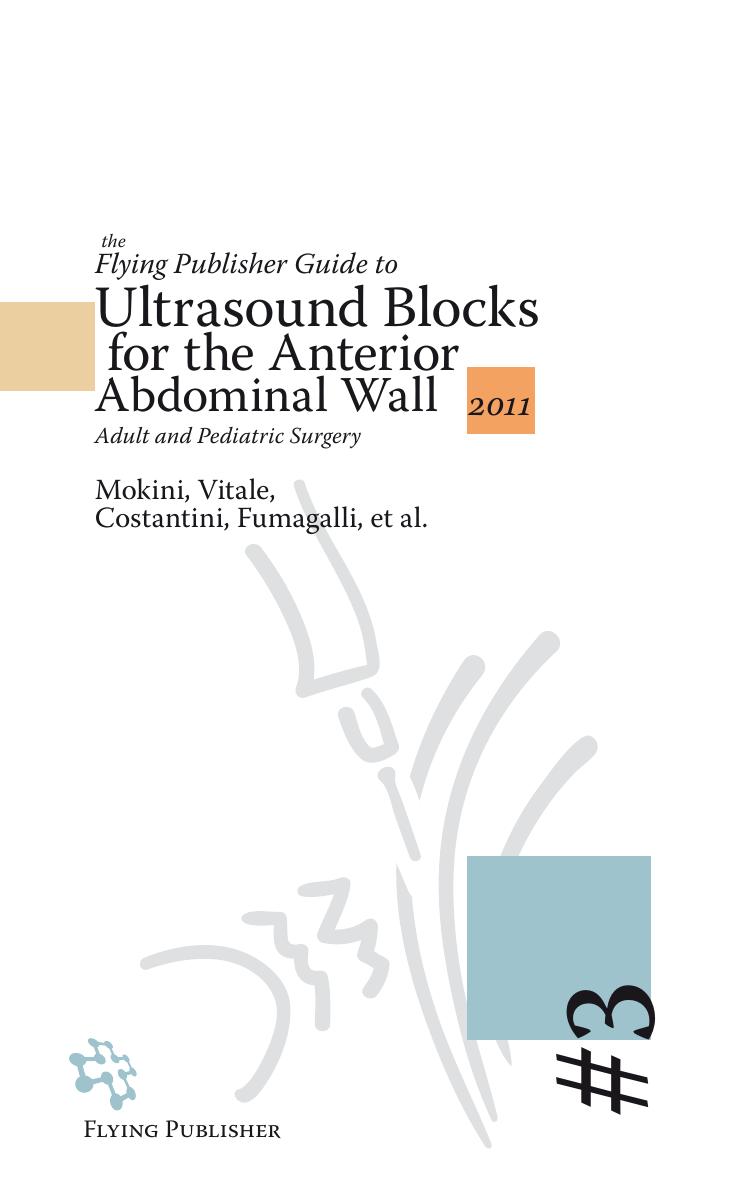 The Flying Publisher Guide to Ultrasound Blocks for the Anterior Abdominal Wall: Principles and Implementation for Adult and Pediatric Surgery by Mokini Vitale Costantini Fumagalli