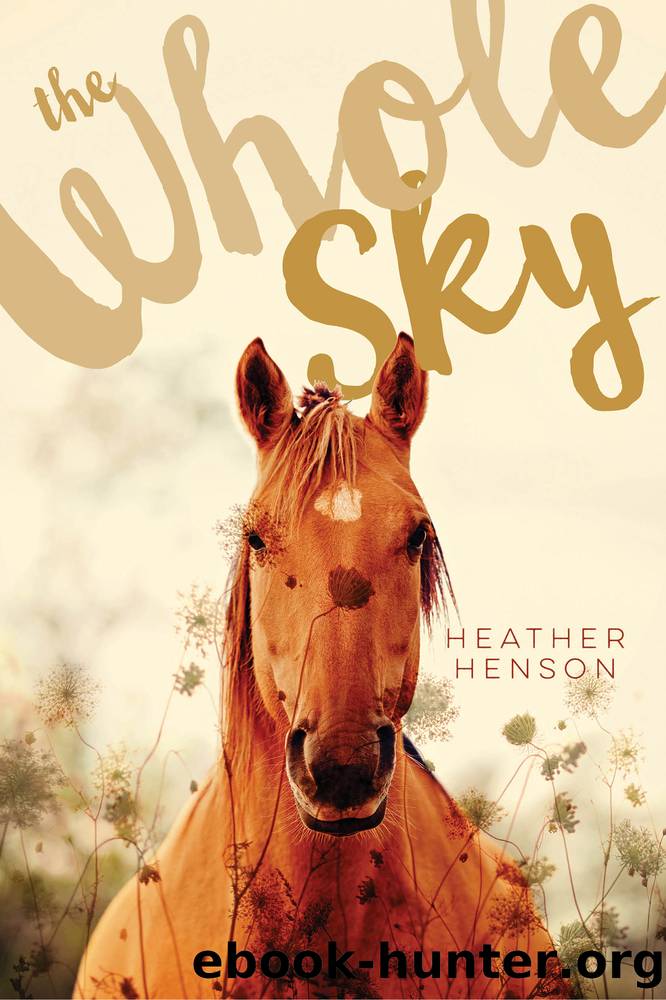 The Foaling Season by Heather Henson
