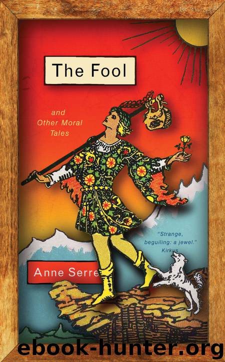 The Fool and Other Moral Tales by Anne Serre