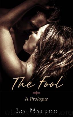 The Fool by Liz Meldon