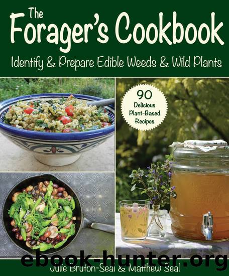 The Forager's Cookbook by Julie Bruton-Seal