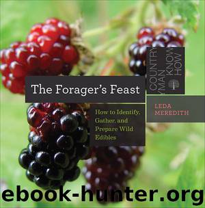 The Forager's Feast: How to Identify, Gather, and Prepare Wild Edibles (Countryman Know How) by Leda Meredith