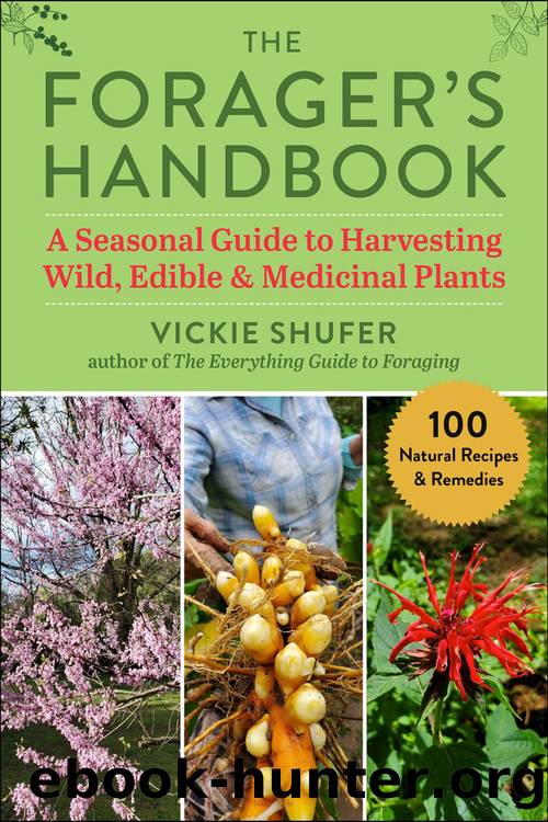 The Forager's Handbook by Vickie Shufer