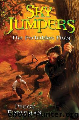 The Forbidden Flats by Peggy Eddleman