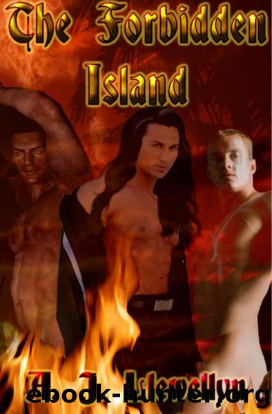 The Forbidden Island by A. J. Llewellyn
