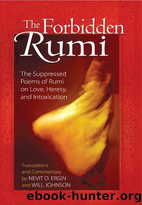 The Forbidden Rumi by Nevit O. Ergin