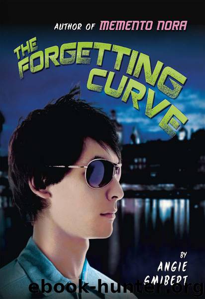 The Forgetting Curve (Memento Nora) by Smibert Angie