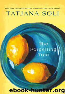 The Forgetting Tree by Tatjana Soli