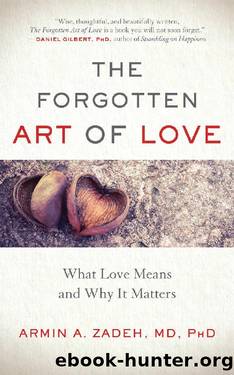 The Forgotten Art of Love: What Love Means and Why It Matters by Armin A. Zadeh