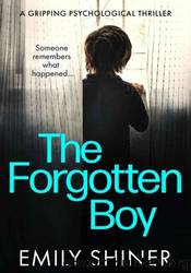 The Forgotten Boy by Emily Shiner