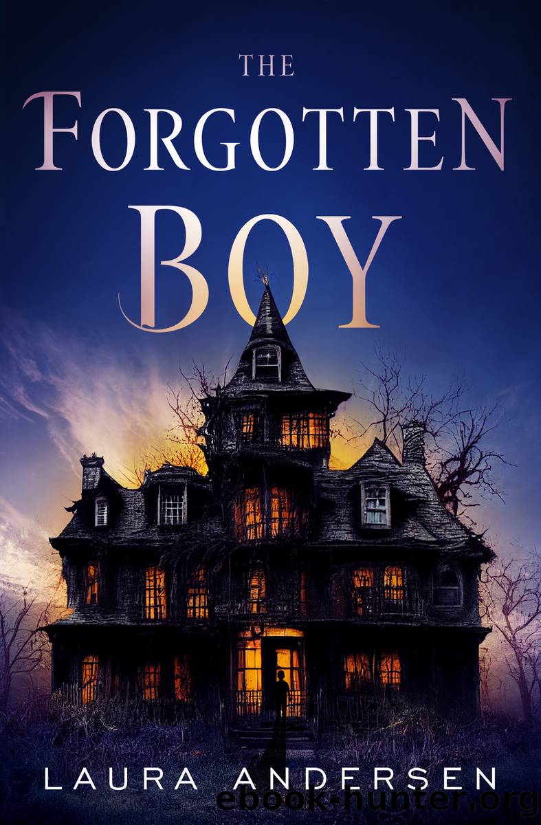 The Forgotten Boy by Laura Andersen