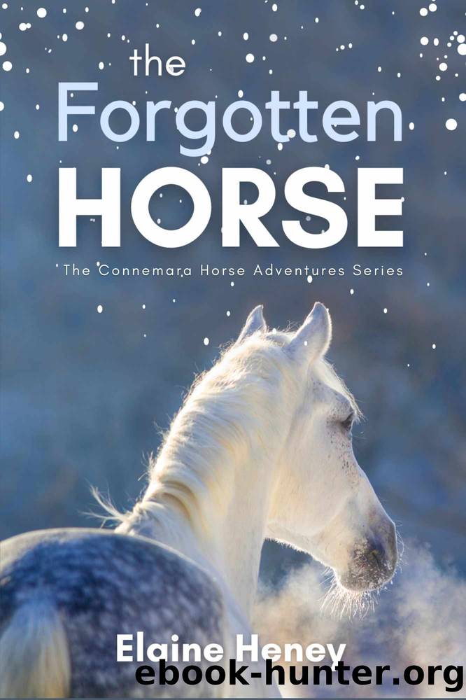 The Forgotten Horse - Book 1 in the Connemara Horse Adventure Series for Kids. The perfect gift for children age 8-12. (Connemara Adventures) by Elaine Heney