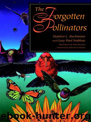 The Forgotten Pollinators by Stephen L. Buchmann & Gary Paul Nabhan