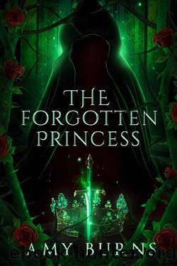 The Forgotten Princess by Amy Burns