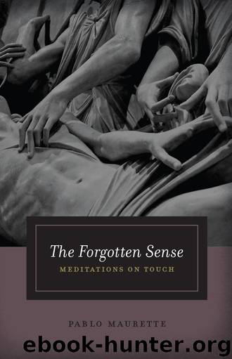 The Forgotten Sense: Meditations on Touch by Pablo Maurette