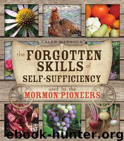 The Forgotten Skills of Self-Sufficiency Used by the Mormon Pioneers