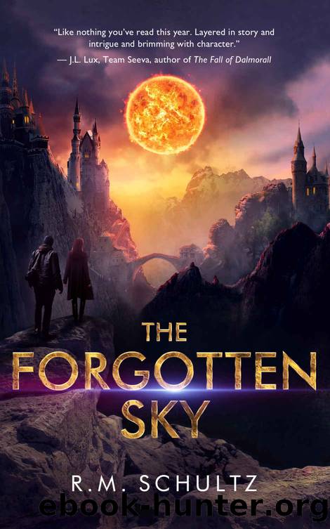 The Forgotten Sky by R.M. Schultz