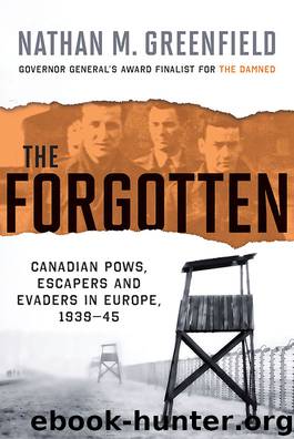 The Forgotten by Nathan M. Greenfield