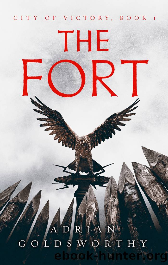 The Fort by Adrian Goldsworthy