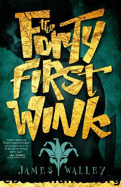 The Forty First Wink by James Walley