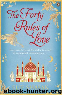 The Forty Rules of Love by Elif Shafak