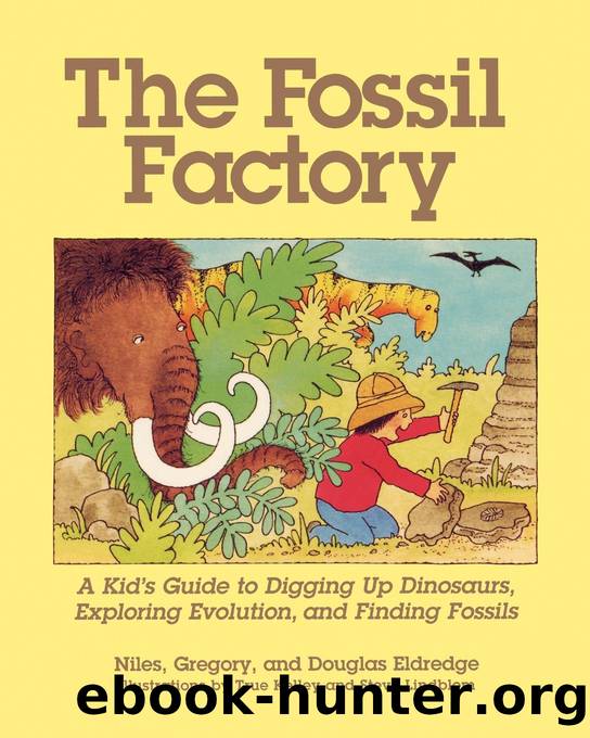 The Fossil Factory by Niles Eldredge & Douglas & Gregory Eldredge